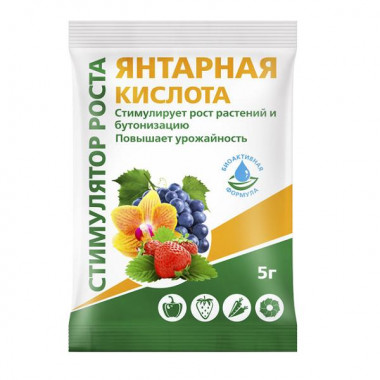 Янтарная кислота, 4г (БиоМастер) Янтарная кислота, 4г (БиоМастер)